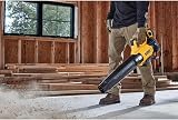 DEWALT SOUFFLEUR BRUSHLESS 18V XR avec DÉBIT D’AIR DE 12,7 M3/Min, Vitesse D’AIR DE 200 KM/H, Outil Seul, DCMBL562N-XJ - 3