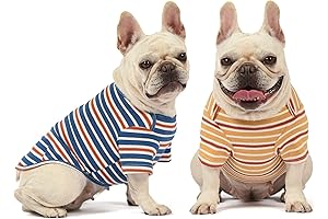 Striped Big Dog Tee Dog Shirts
