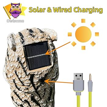 Amazon.com: Owlsome Solar Tiger Owl with Flashing Eyes, Rotating