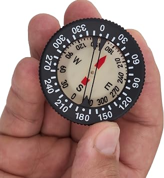 Blue Reef Nano Compass Module