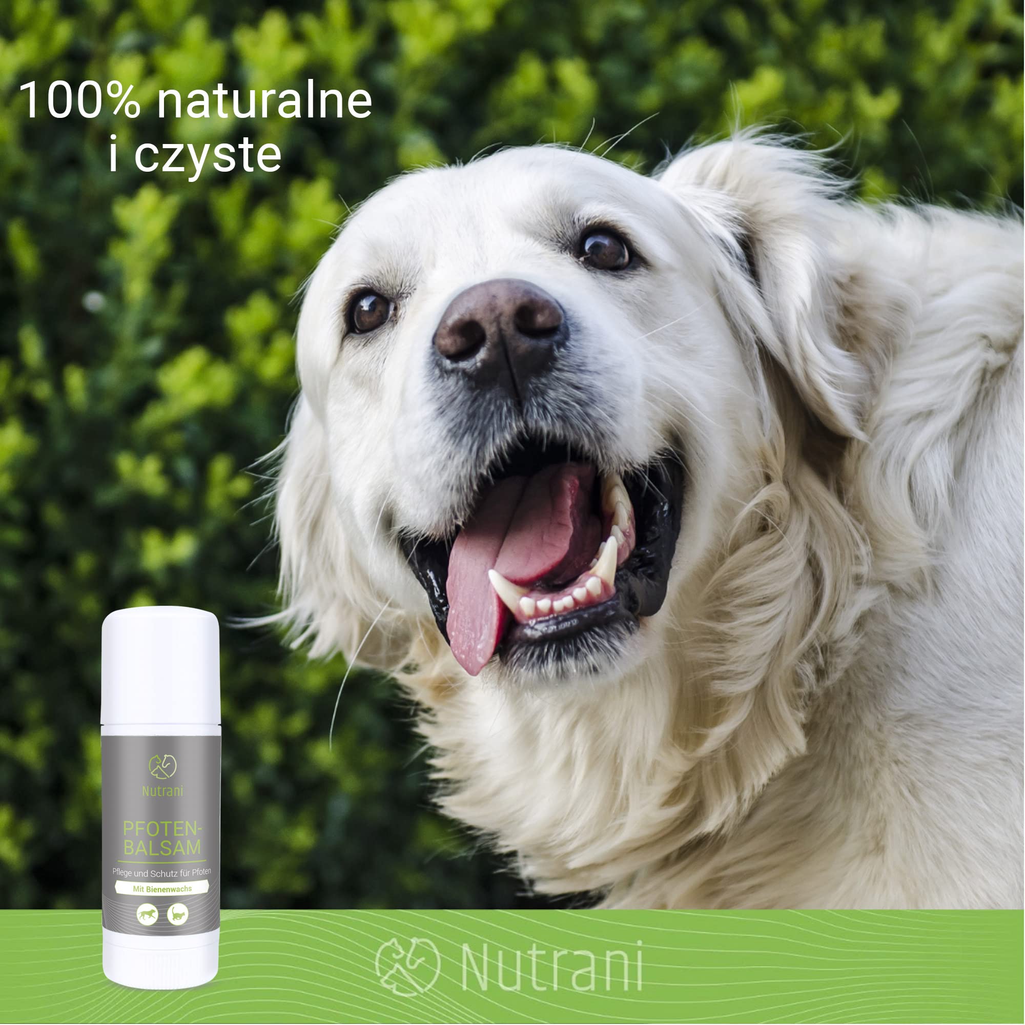 Balsam do łap z woskiem pszczelim dla psów i kotów | 40 ml – 100% naturalny balsam nadaje się do pielęgnacji łap i ochrony łap Wykonano w Niemczech