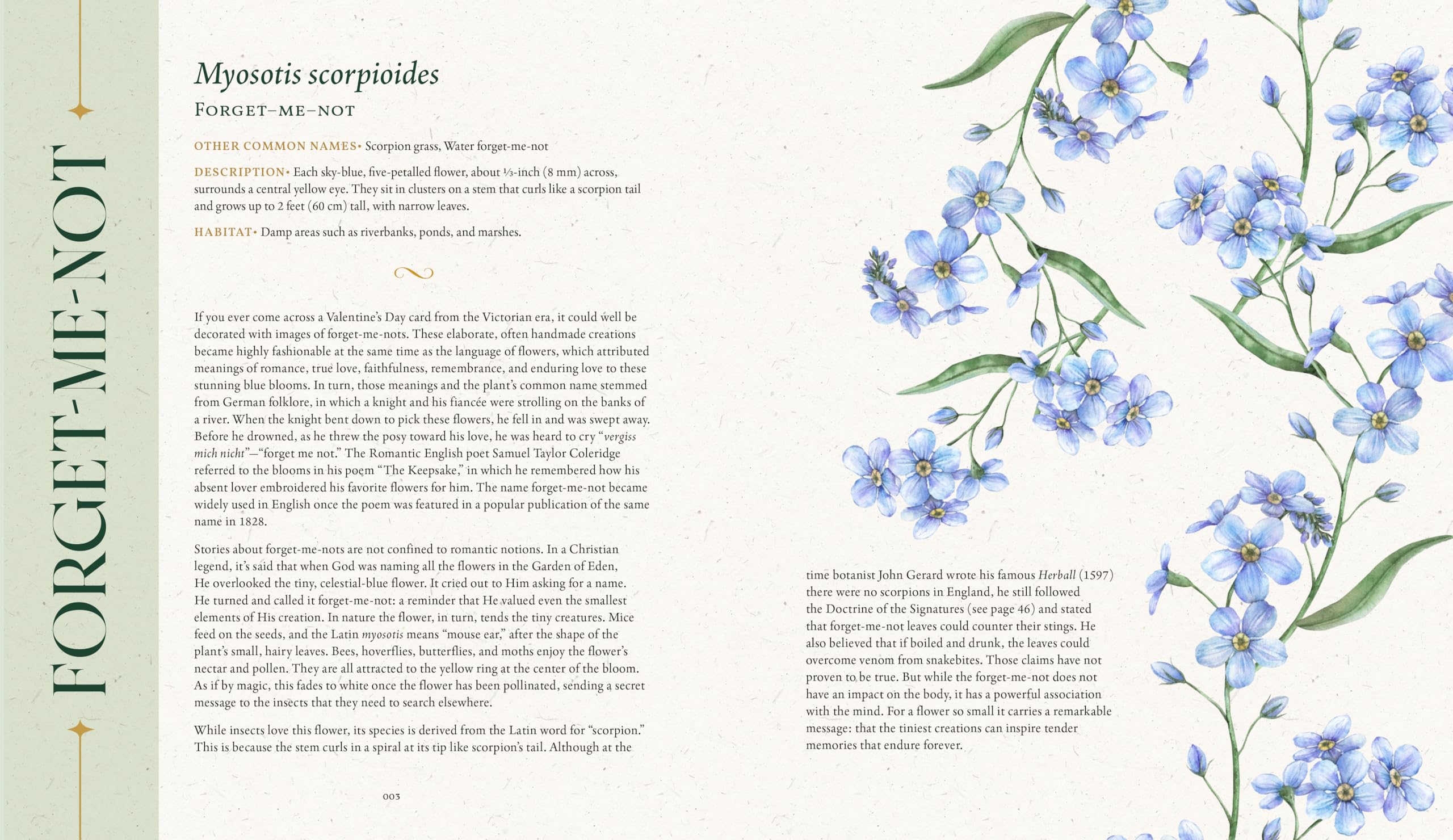 The Folklore of Wildflowers: Stories and History in Bloom