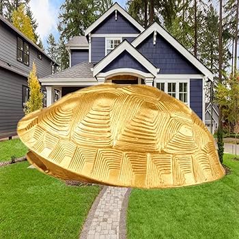 Amazon.com: Ecqizer Feng Shui Money Frog, Lucky Money Toad