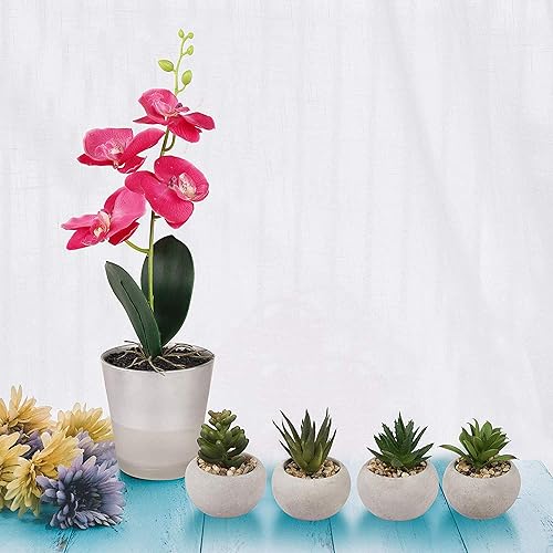 Vista 5 de GIA Mini suculentas artificiales en maceta, juego de 4, verdeblanco