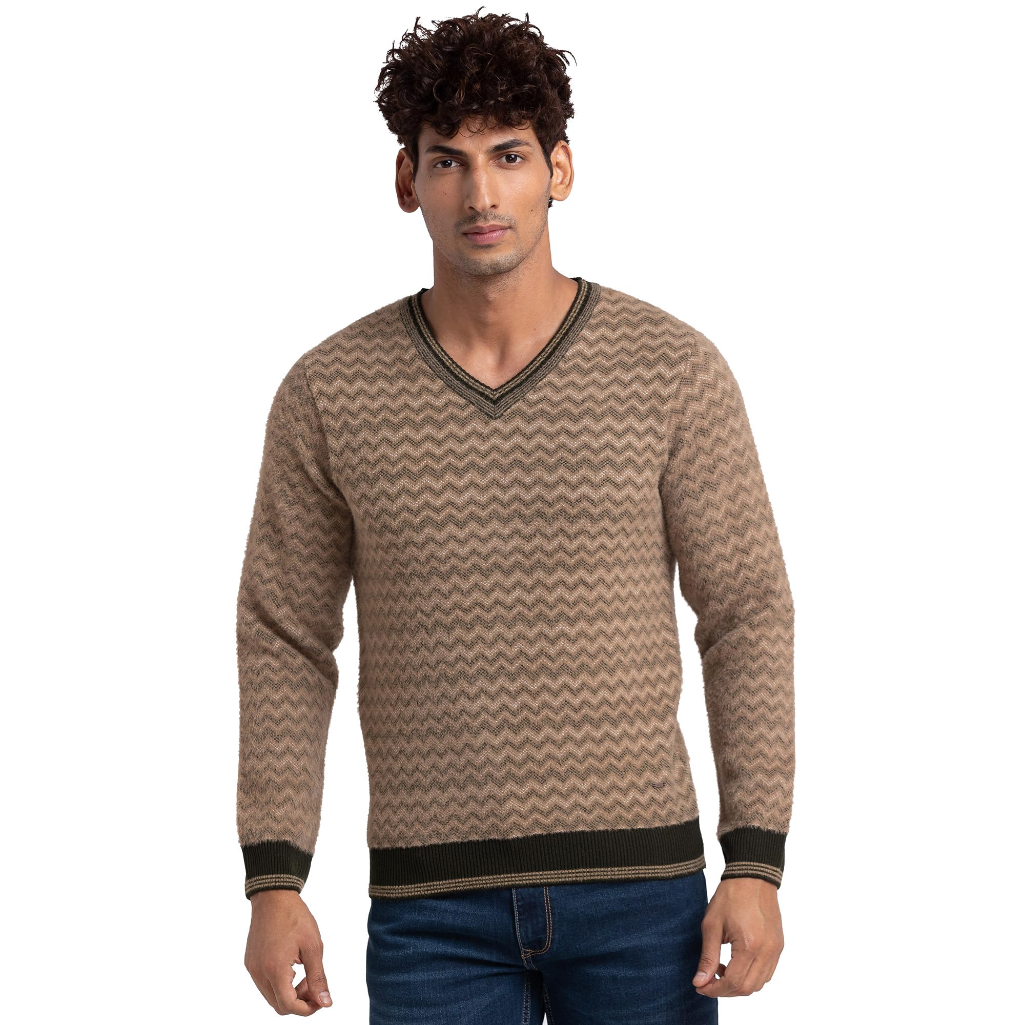 Men Regular Fit Jacquard Pattern Pure Acrylic Full Sleeve V Neck Casual Sweater-image-46