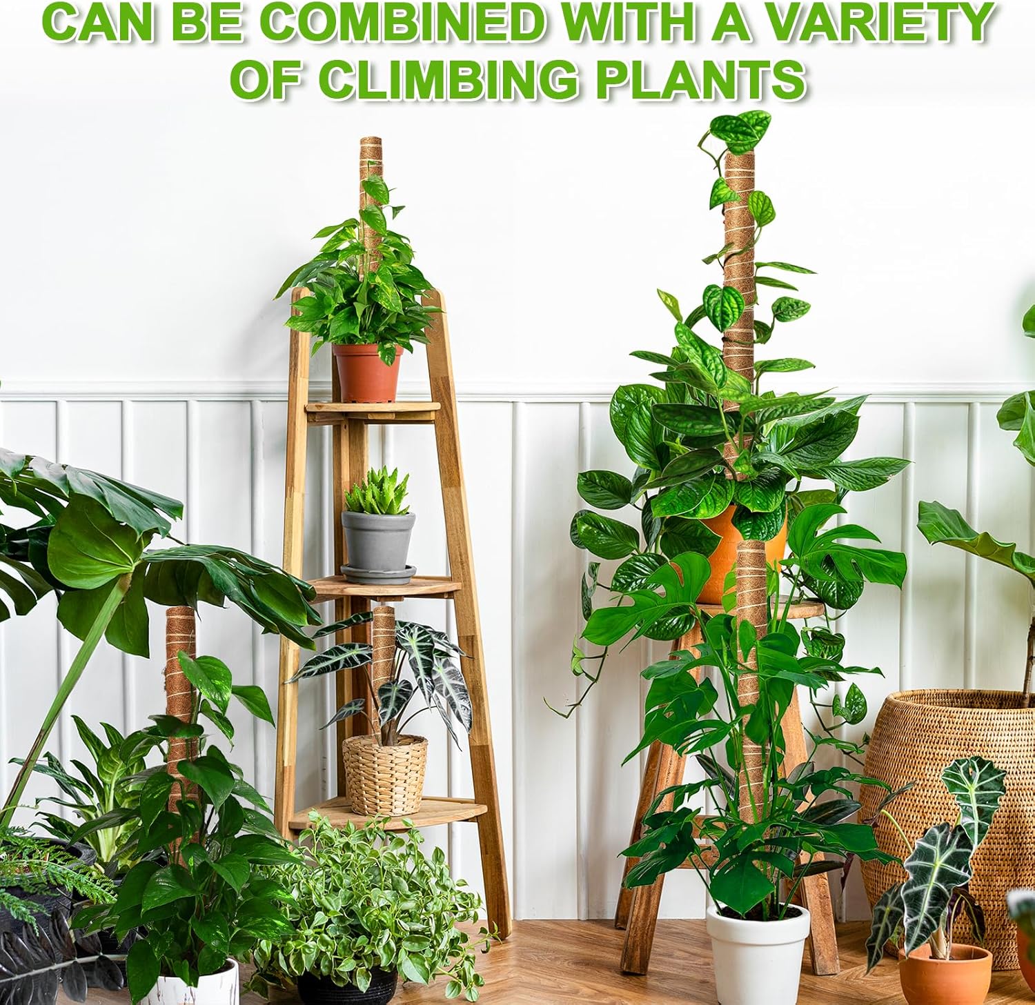 EAONE Moss Pole 128 Inch, 8 Pack 16" Monstera Plant Support for Climbing Potted Live Plants Indoor, Stackable Coco Coir Moss Sticks Monstera Stakes for Pothos Philodendron, with Garden Labels & Ties