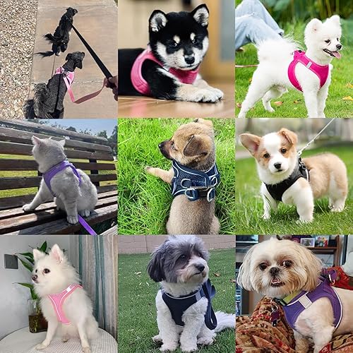 Miniatura 6 de PWOD Arnés para perro con correa, arnés reflectante sin tirones para mascotas con 1 clips para correa, chaleco ajustable suave acolchado de fácil