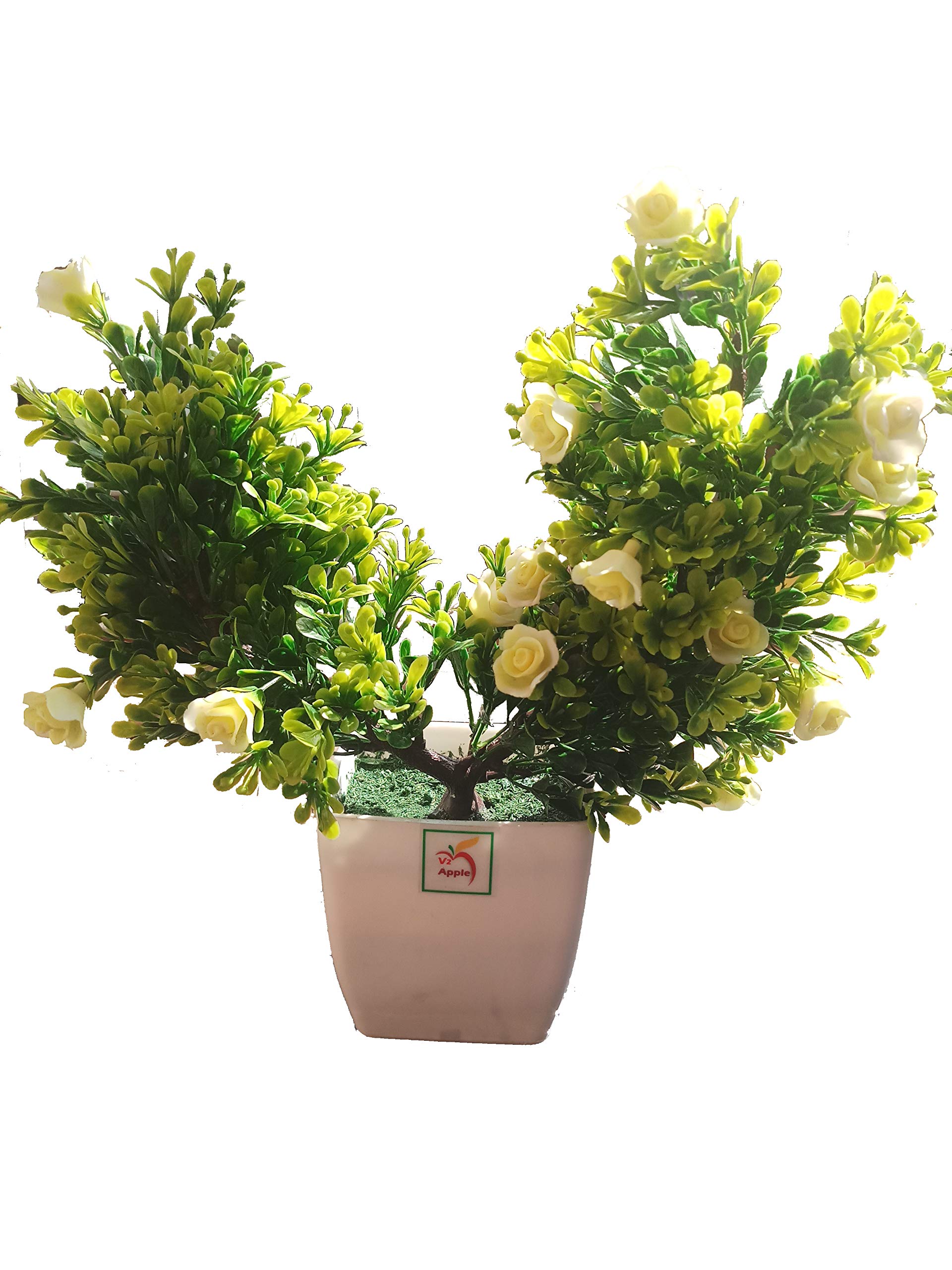 (V2 Apple) Relaxaa vadi