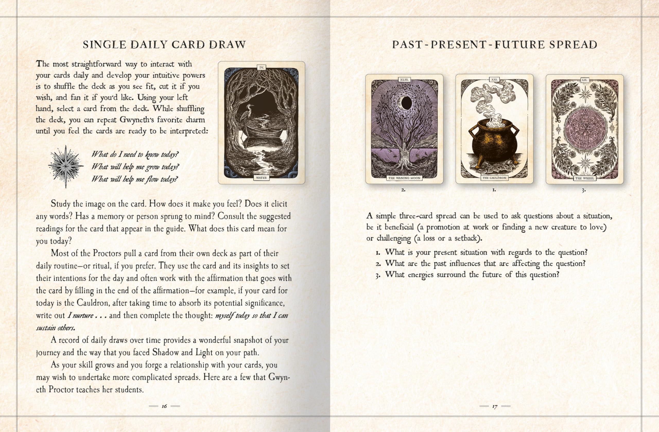 The Black Bird Oracle Deck: A 52-Card Deck and Guidebook