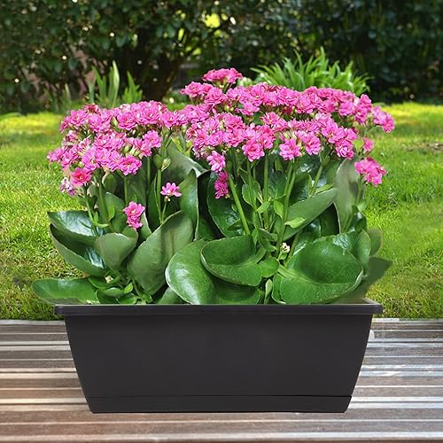 Miniatura 3 de Macetero rectangular con agujeros de drenaje y bandejas, 8 unidades, macetas de plástico para ventana de 17 pulgadas, macetas de plástico para