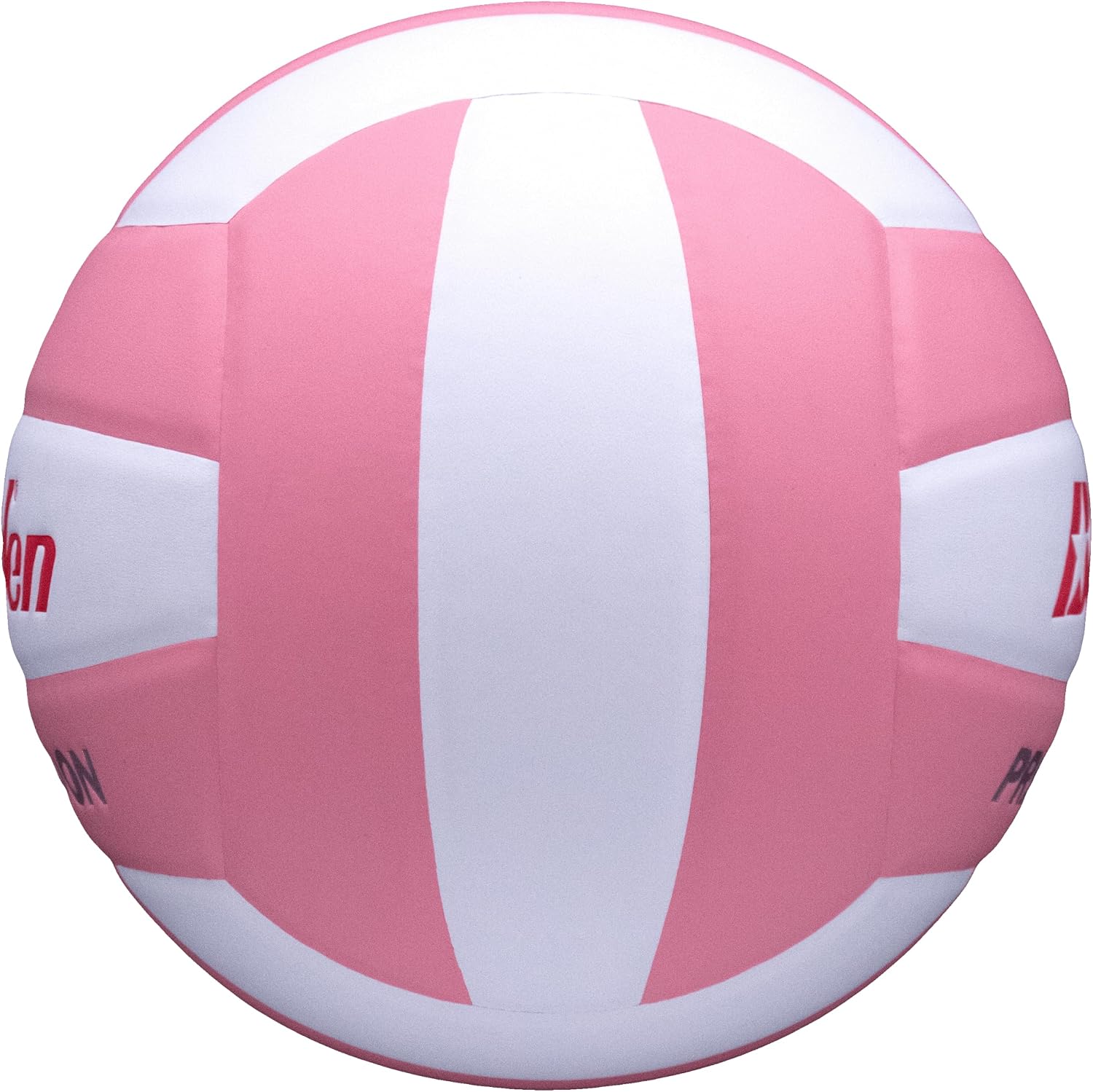 Baden | Precision | Official Size + Weight Entry Level Youth Indoor Volleyball | PU Composite, Extra Foam Backing, Reduce Sting