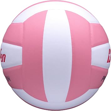 Baden Precision, Official Size and Weight, Beginner Volleyball for Teens, Indoor Volleyball, PU Composite, Extra Foam Backing, Reduces Stitches