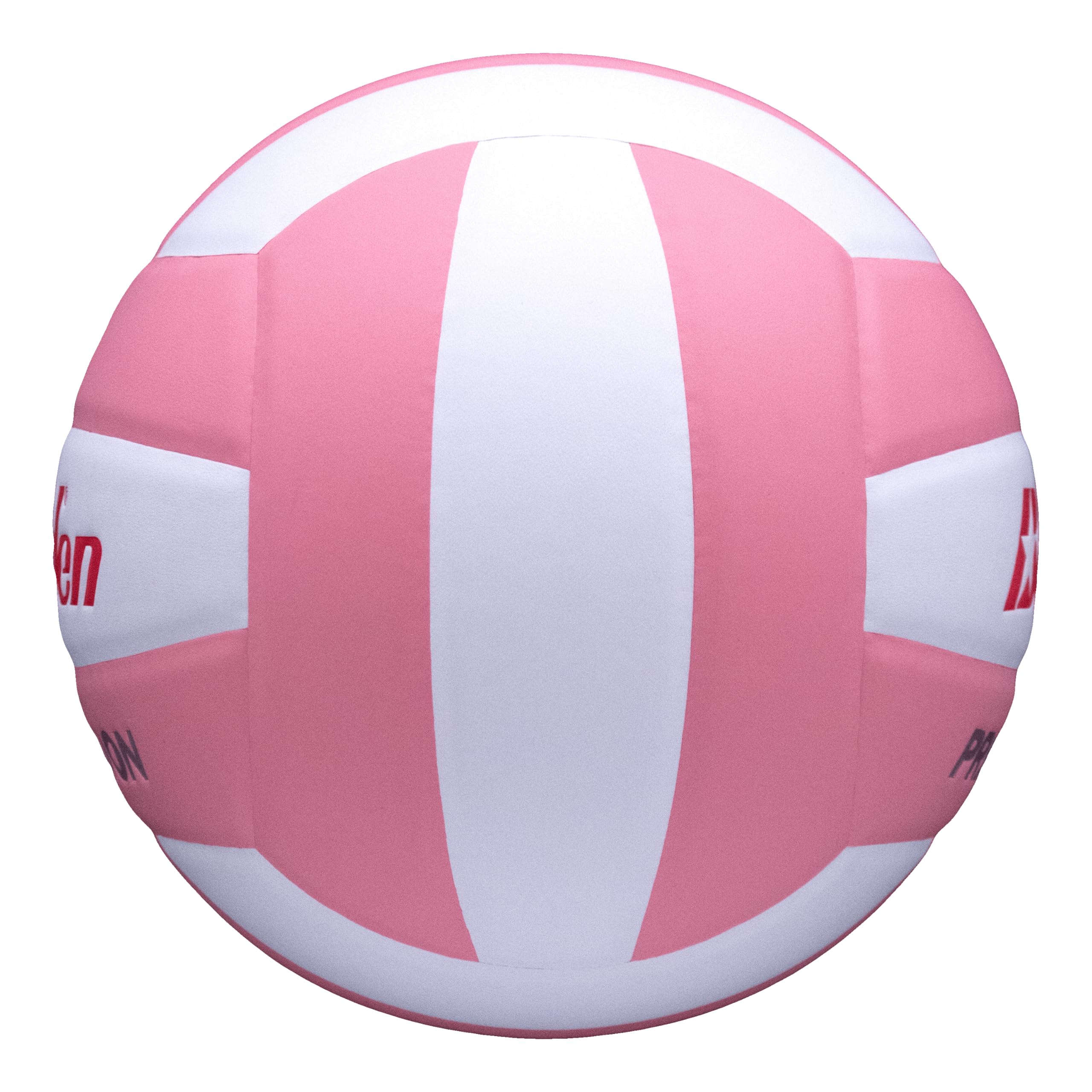 Baden Präzision, offizielle Größe und Gewicht, Einsteiger-Volleyball für Jugendliche, Indoor-Volleyball, PU-Verbundstoff, extra Schaumstoff-Rückseite, reduziert Stiche
