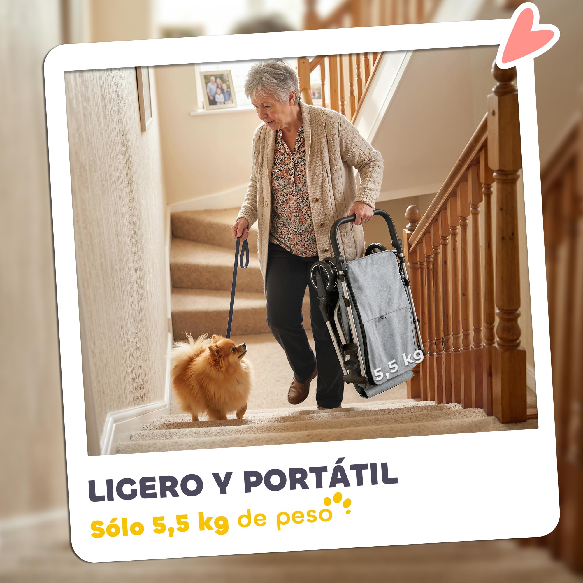PawHut Carrito para Perros Plegable, Cochecito para Perros Pequeños y Seniors, Hasta 10 kg, Ruedas con Frenos 360º, Marco de Aluminio, Correa de Seguridad, Cojín Lavable y Ventanas, Gris