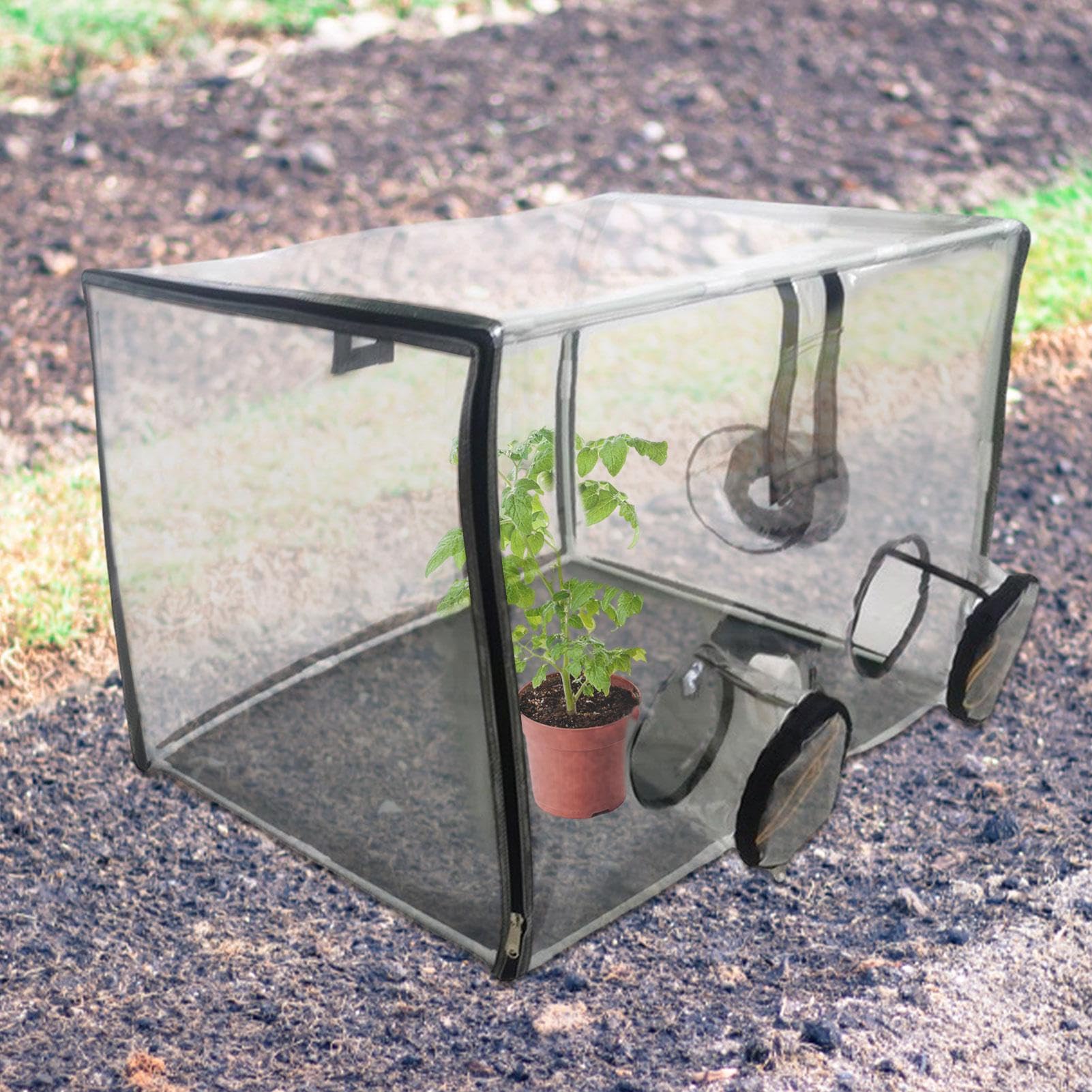 Mini Gewächshaus, Wasserdichtes Resistente ai raggi UV Mini Gewächshaus | 31,5 X 19,69 X 19,69 Zoll Pilzzuchtschuppen Mit 3 Witwen Gartengeschenke Frauen Uomo