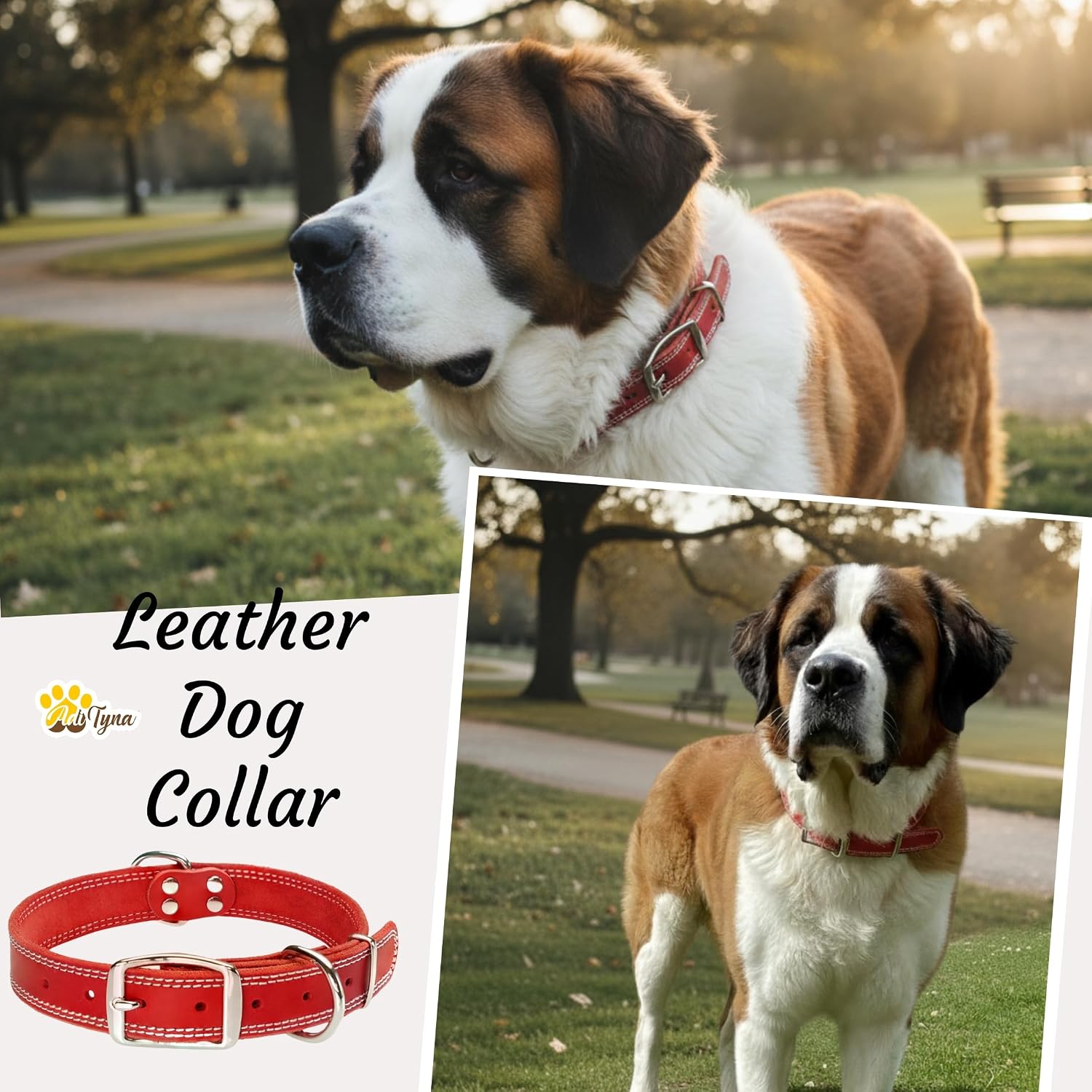 ADITYNA Heavy Duty Red Leather Dog Collar for Extra-Large Dogs, 22-30" image 3
