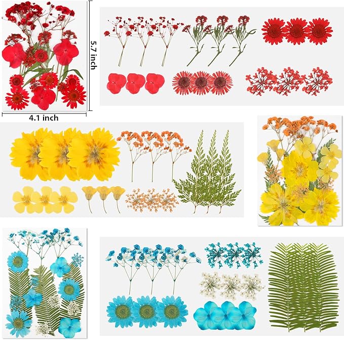 103 Piezas Flores Secas Prensadas para Resina y Manualidades miniatura 2