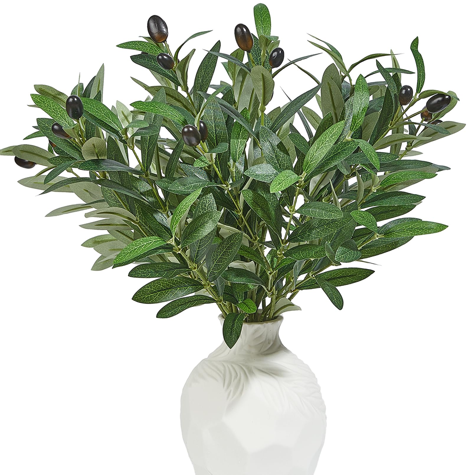 Vicrol Olive Tree Branches