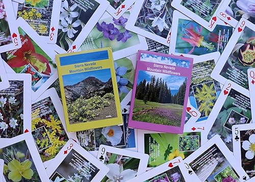 Miniatura 7 de Sierra Nevada Mountain Wildflowers Juego de cartas (juego de dos barajas)