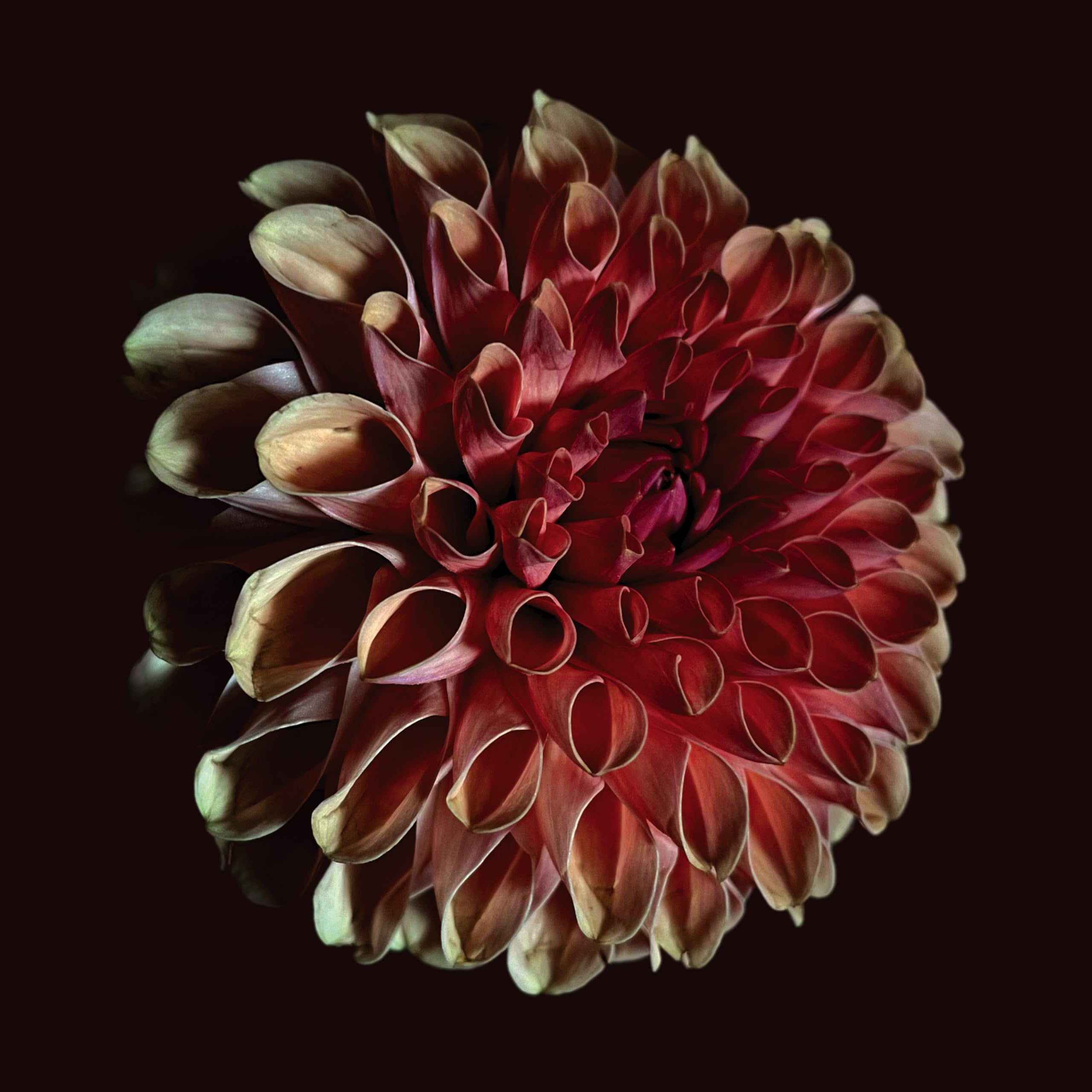 Unfolding [VINYL]