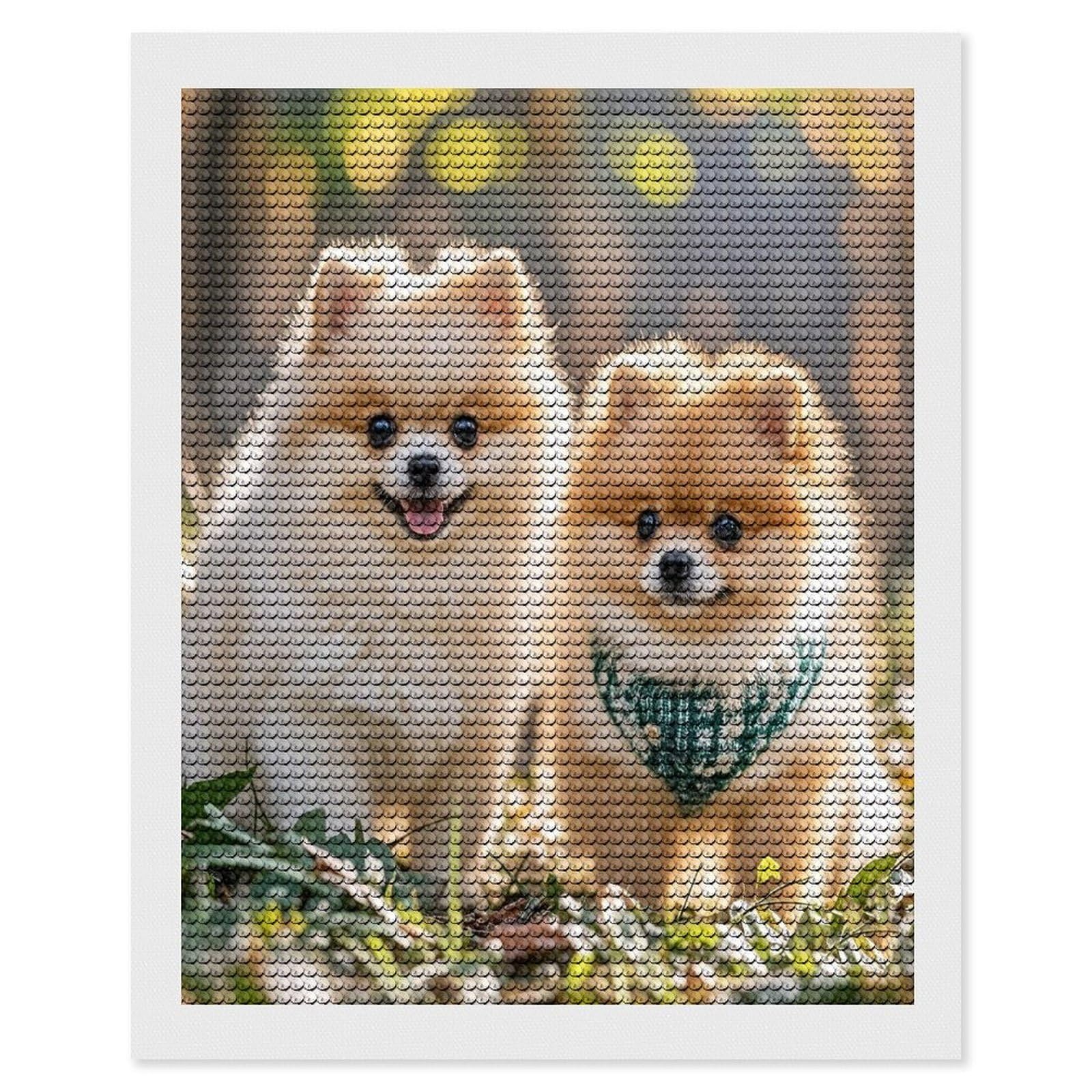 FekiLoot Pomeranians Puppies Diamond Painting Kits for Adults Full Round Drill Diamond Art Kits for Beginners 5D DIY Diamond Dots Paintings Diamonds Pictures Gem Art Home Wall Decor 16"x20"