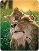 Magnet - A Fathers Love from Deluxebase. Lenticular 3D Lion Fridge Magnet. Magnetic Decor for Kids and Adults with Artwork Licensed from Renowned Artist, Schim Schimmel