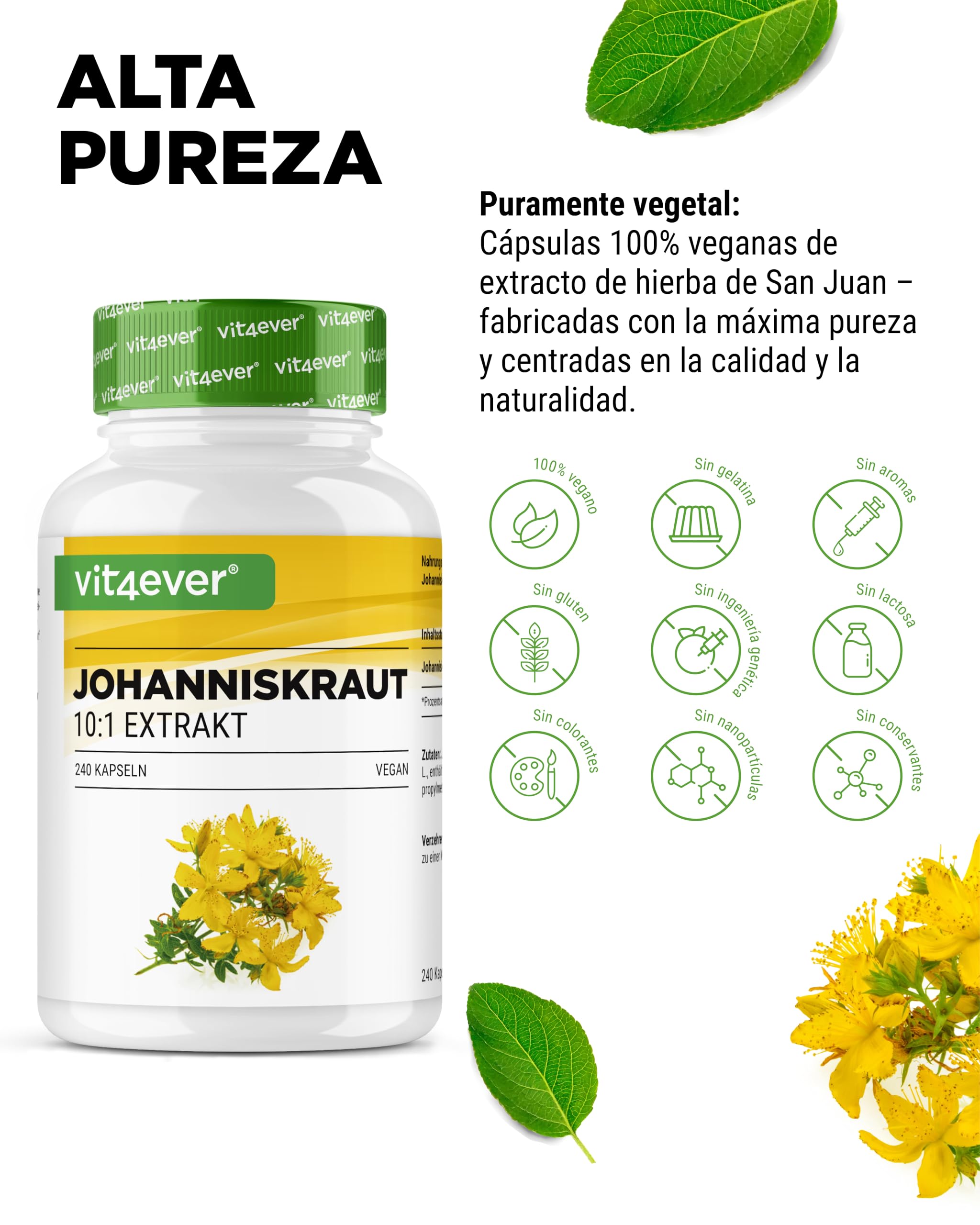 Hierba de San Juan -240 cápsulas con 500 mg de extracto de 5000 mg de Hierba de San Juan pura - Extracto natural 10:1 - Dosis alta - Vegano