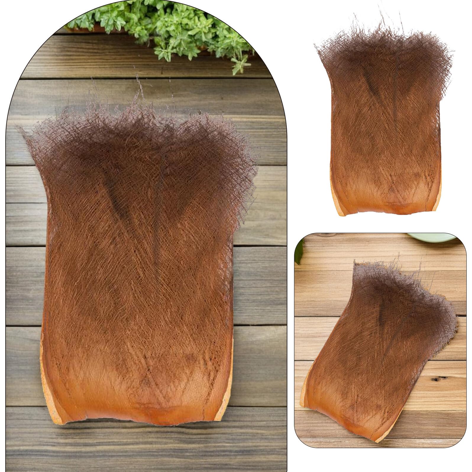 Corteccia Naturale Di Palma – 5 Fogli 35x50 Cm Per Decorazione Giardino E Acquario
