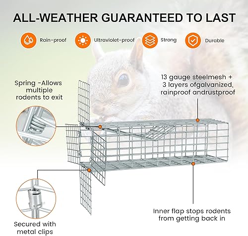 Miniatura 5 de Excluyente de puerta unidireccional para ardillas, excluyente humanitario sin contacto para ardillas y ardillas listadas, para espacios al aire