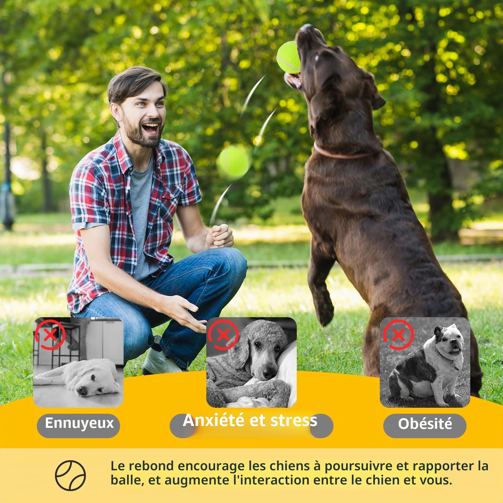 12 Pièces Balle de Tennis pour Chien, 5 cm Mini Balle Tennis Chien, Balles de Jeu pour Petits Chiens, Jouet Interactives pour Chiens Compatibles avec Lanceur de Balles pour Chiot
