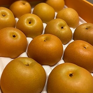 vegepple 梨 あきづき 約５kg 熊本県産 サイズおまかせ 秋月 ちょっと訳あり フルーツマイスター