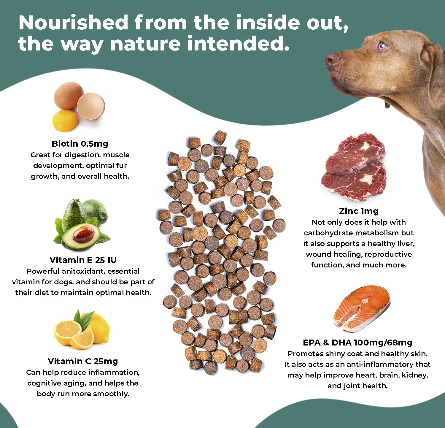 Are Zinc Rich Foods Safe For Dogs