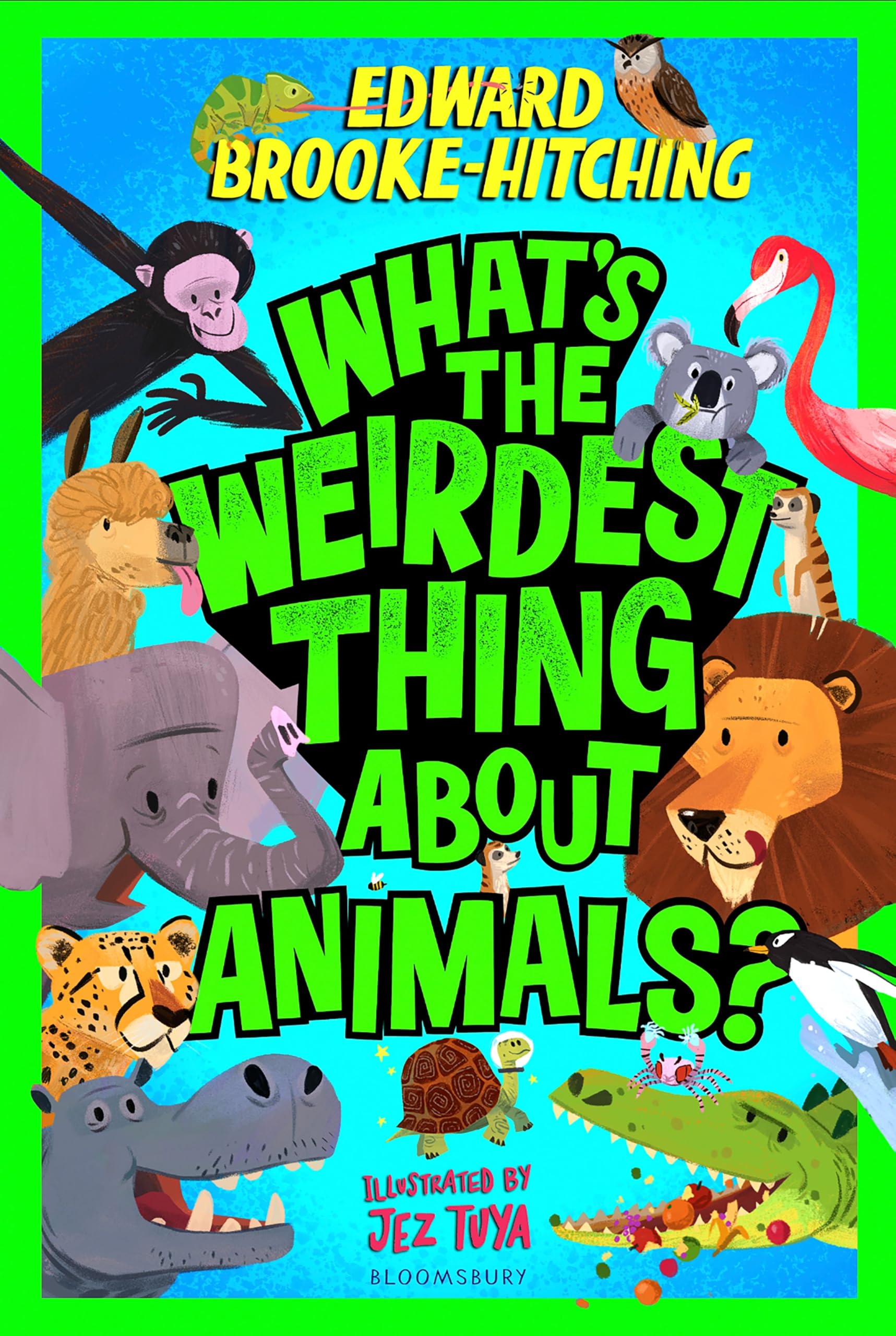 What's the Weirdest Thing About Animals? by Edward  Brooke-Hitching