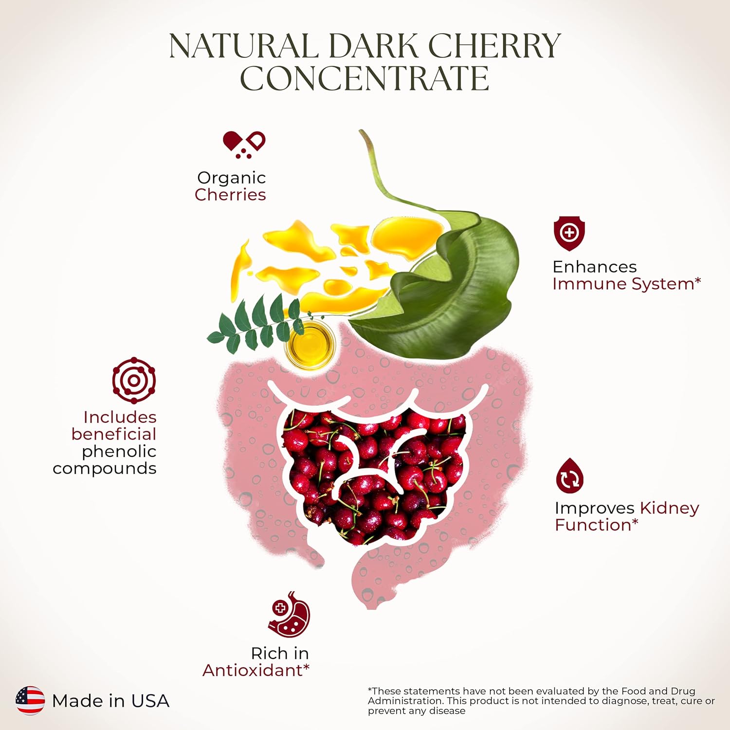 Bernard Jensen's Black Cherry Juice Concentrate - Natural Cherry Concentrate Without Additives and Sweeteners - Sweet Cherry Juice Topping for Ice Cream, Pastries, and Other Desserts, 16 fl. oz bottle