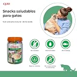 Ver la foto 2