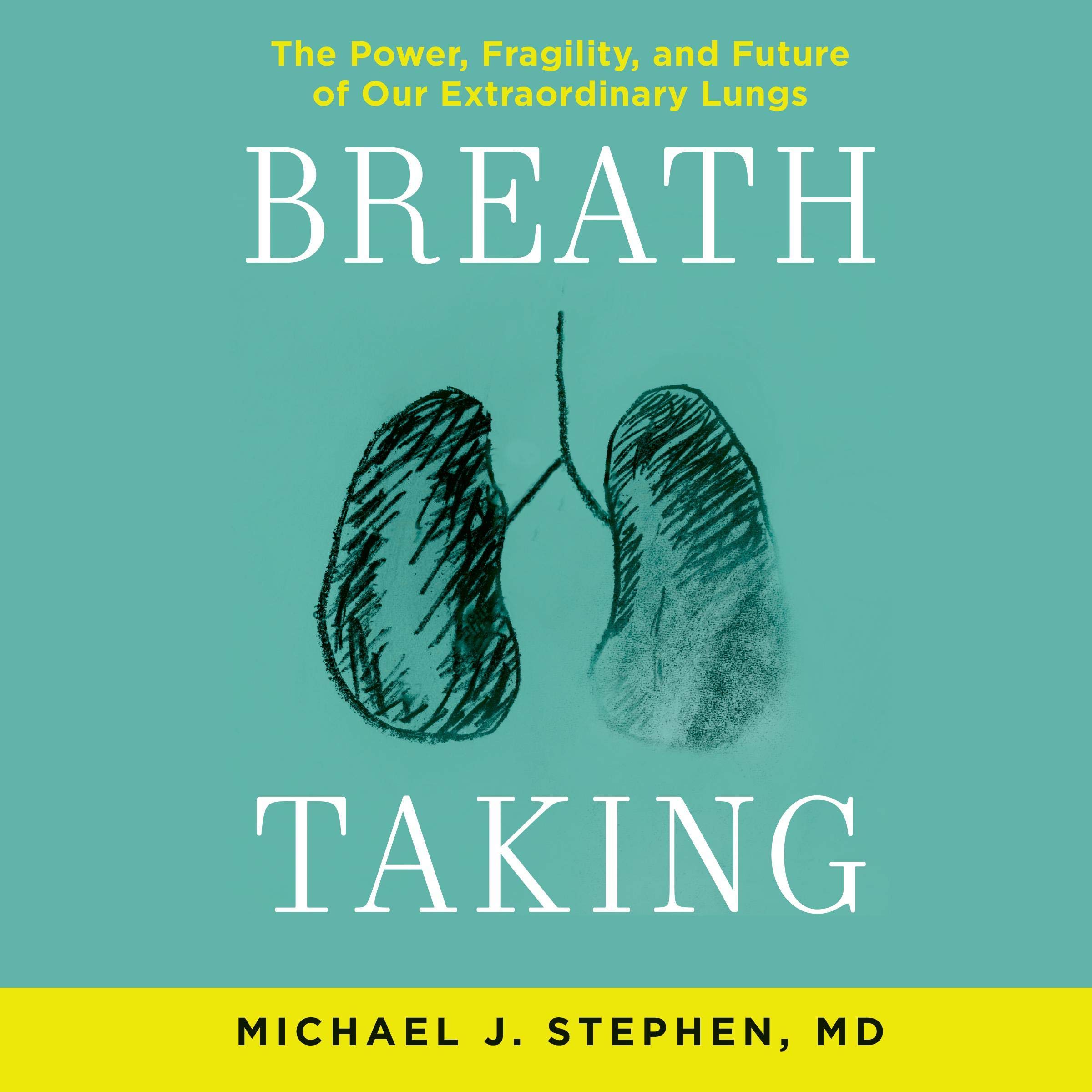 Cover art for Breath Taking