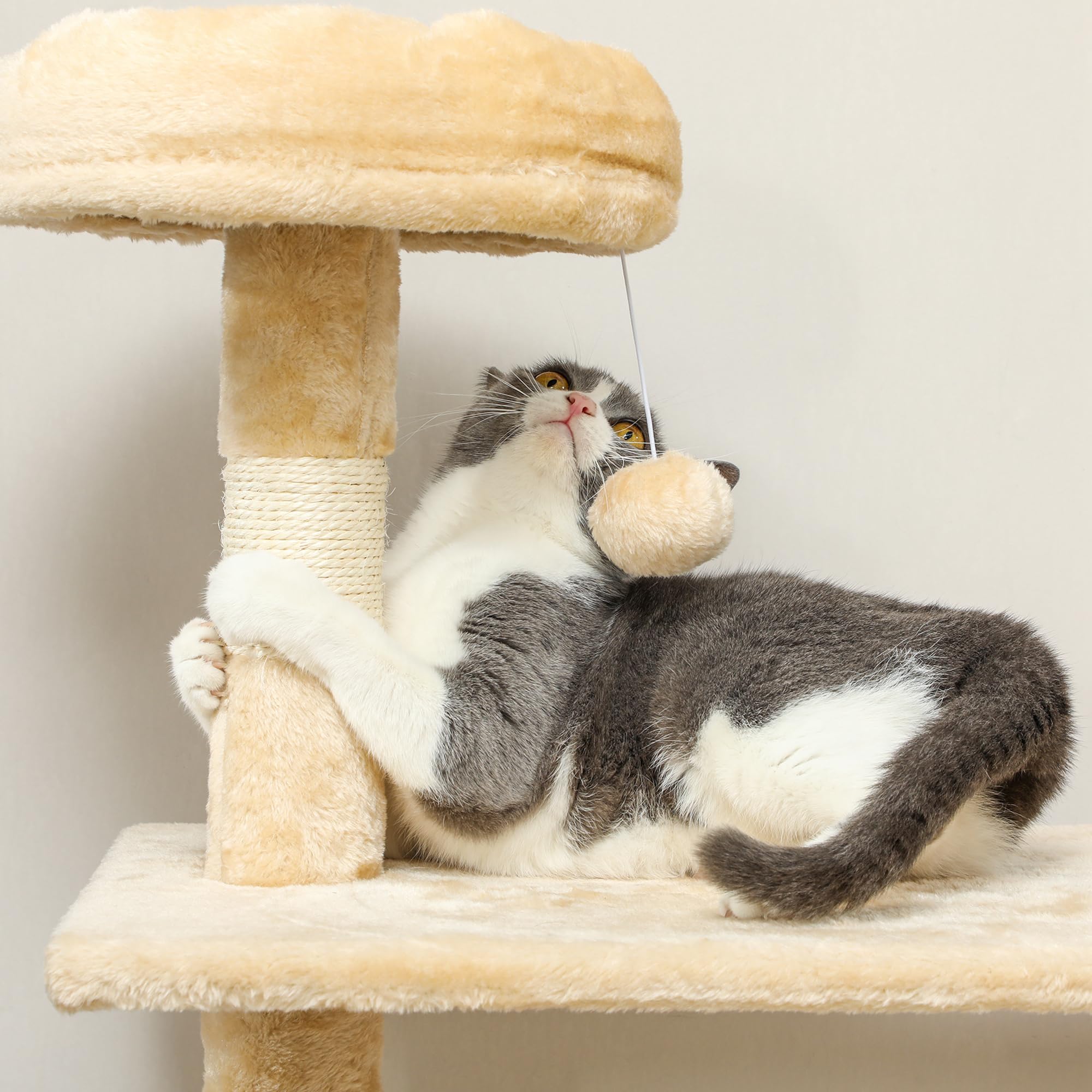 PawHut Albero Raschietto Gatto 152 x 70 x 40 cm Arboles rascadores Gatti Pelo e Giocare Nuovo