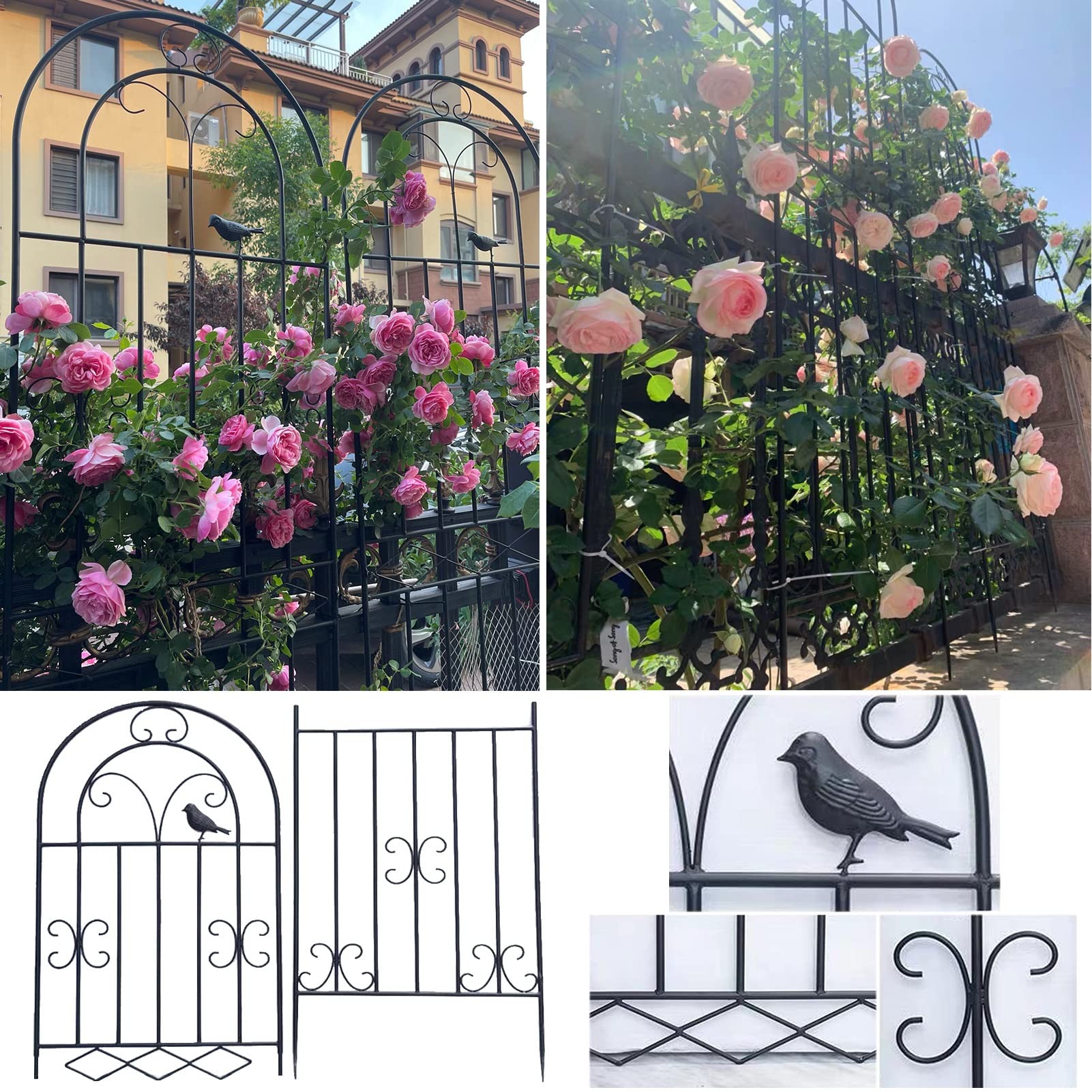 ガーデン・ローズ・メイデン アジア Japanese Maple 'Crimson Queen' 1 Gallon - Cofer's Home & Garden