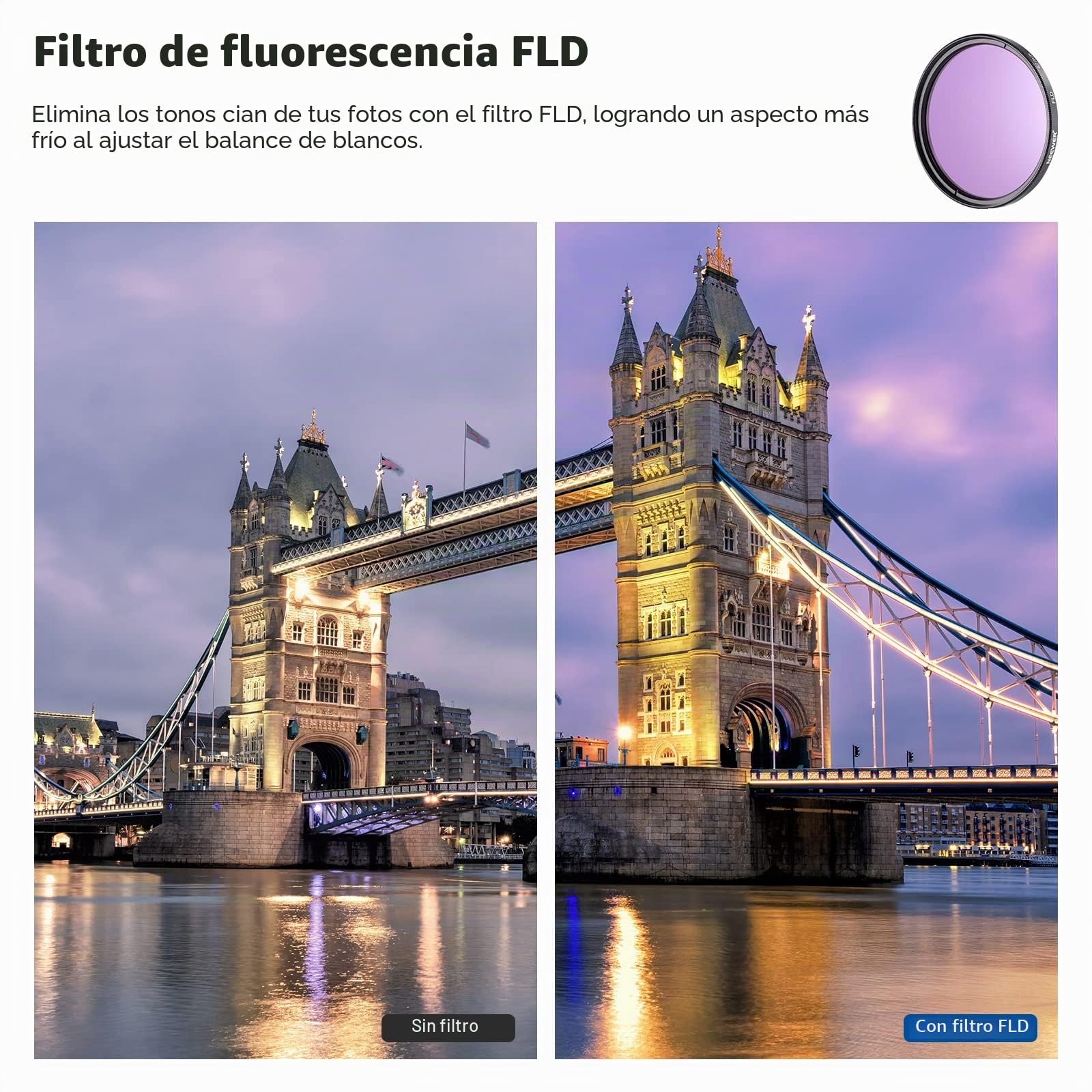 NEEWER 67mm ND/CPL/UV/FLD/Kit de Accesorio de Lente y Filtro con ND2 ND4 ND8, Filtros de Primer Plano (+1/+2/+4/+10), Parasol de Tulipán, Parasol de Goma Plegable, Tapa de Lente, Bolsa de Filtro