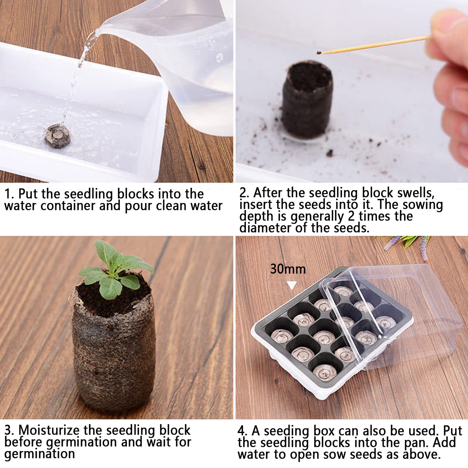Mini Serre pour Plantes, 6 Cellules Plateau de Semis Plateau de Culture avec Couvercle, 12 Blocs de semis, Pépinière Boîte Propagateur pour Germination Graines