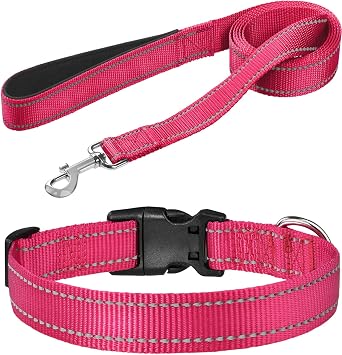 FunTags Dog Leash Bundle with 3/4"x 10"-16" Dog Collar,6FT Reflective Nylon Dog Leashes with Nylon Dog Collar for Small Dogs,HOTPINK