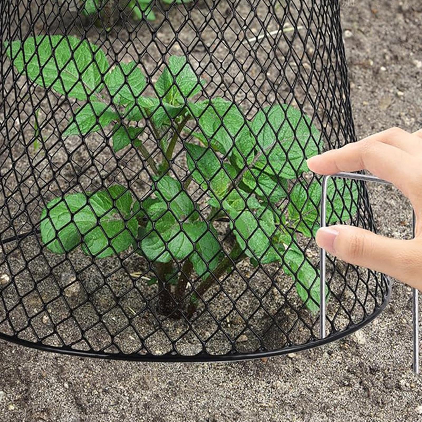 Cloches de Protection pour de Jardin 5 Pièces de Clôture Anti-Animaux en | Cloche De Protection Pour En Grillage À Poule Pour Les Légumes, Les Myrtilles, Fleurs, Et Arbustes
