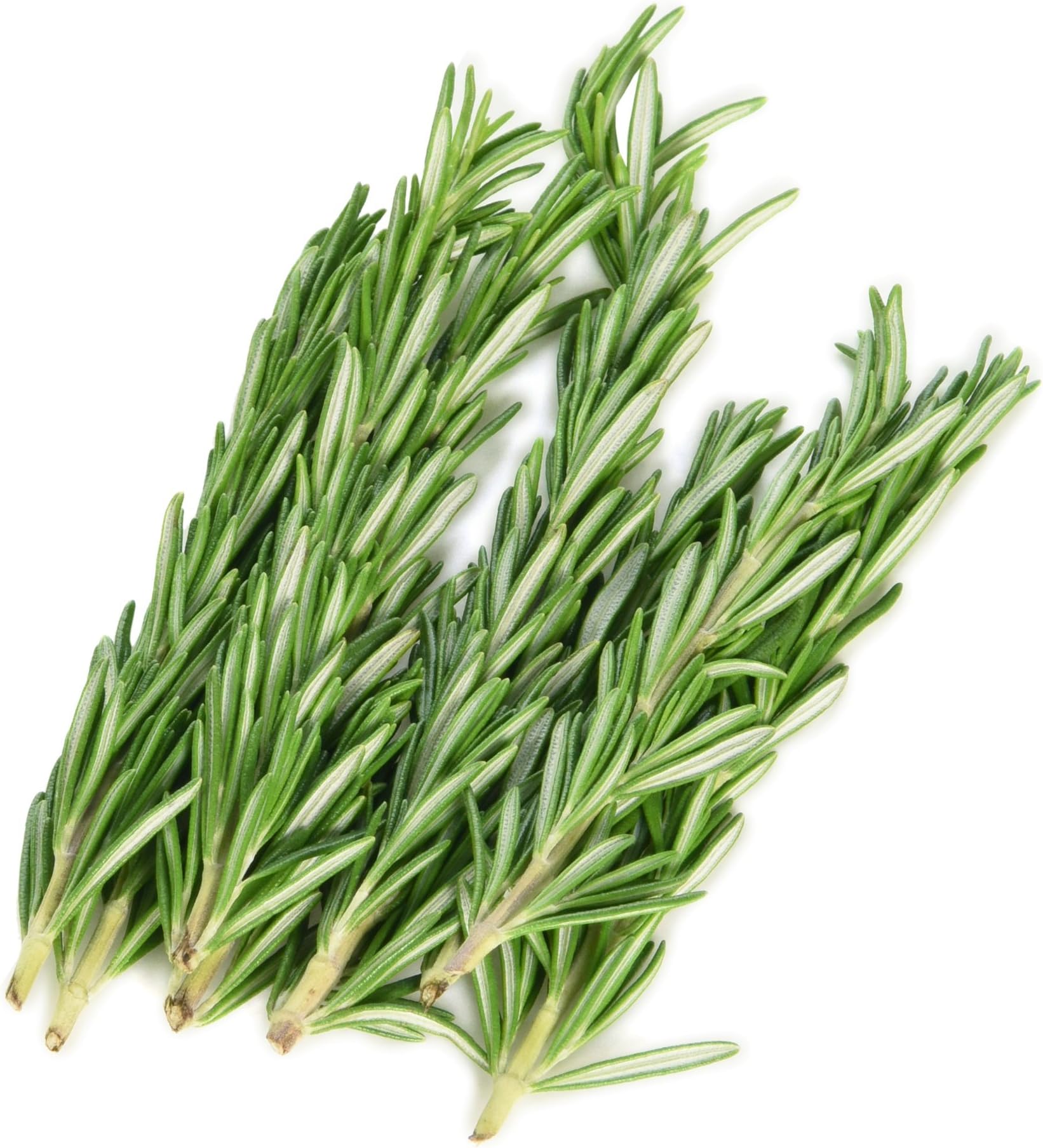 Langmead Herbs Fresh Cut Rosemary, 20g