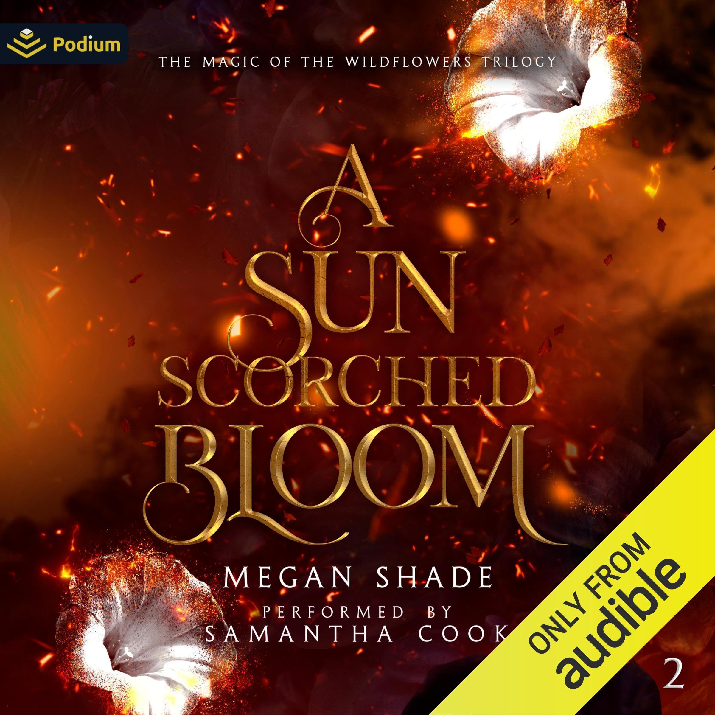 A Sun Scorched Bloom