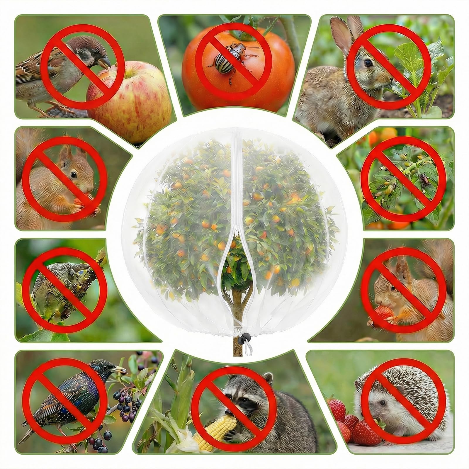 Filet Anti Insecte Arbre Fruitier Sac Protection Plantes 1.2 x 1.5 m