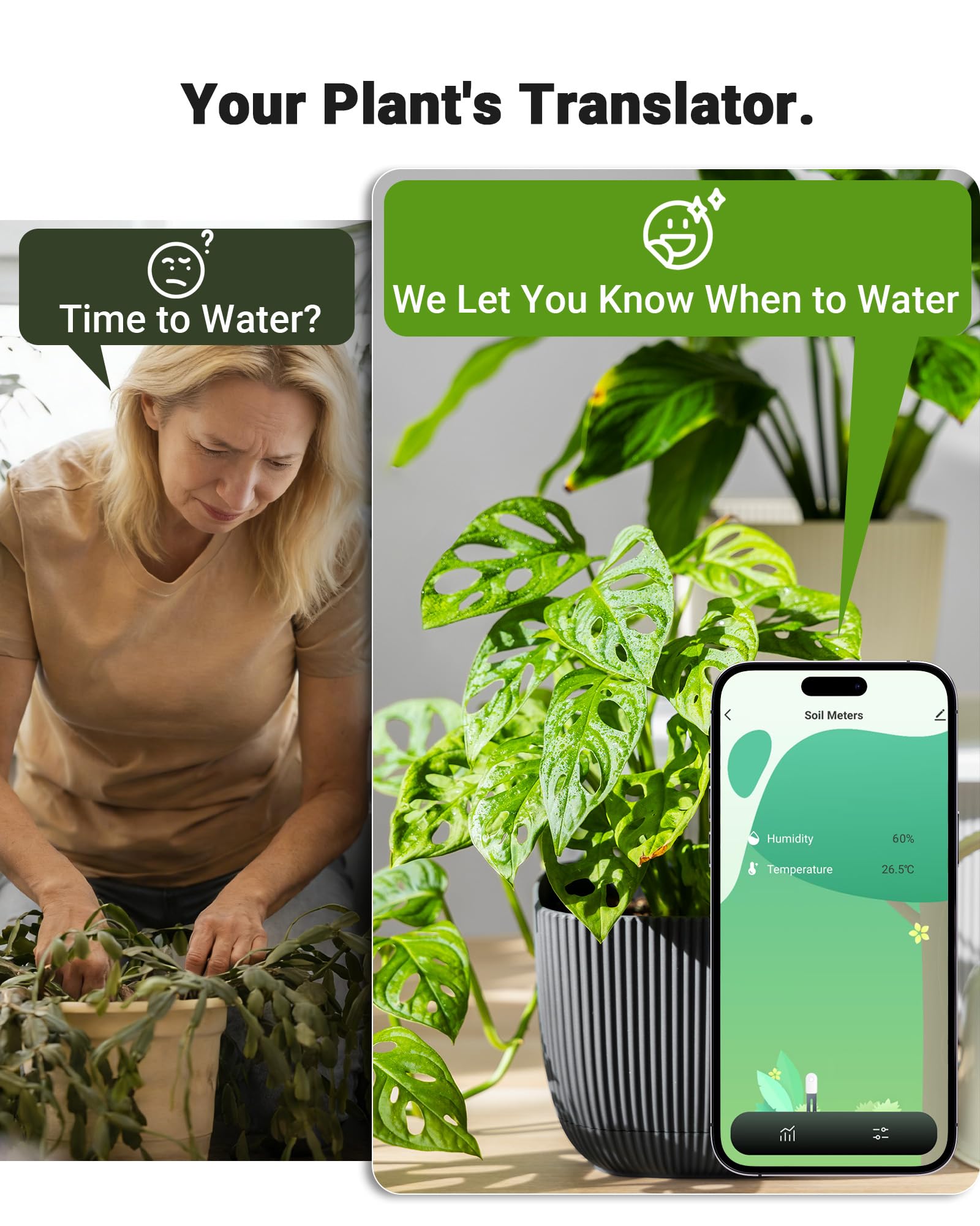 Humidimètre intelligent WiFi pour plantes, capteur 2 en 1 avec alertes d'application | Surveille l'humidité et la température à distance, données en temps réel pour le jardinage intérieur