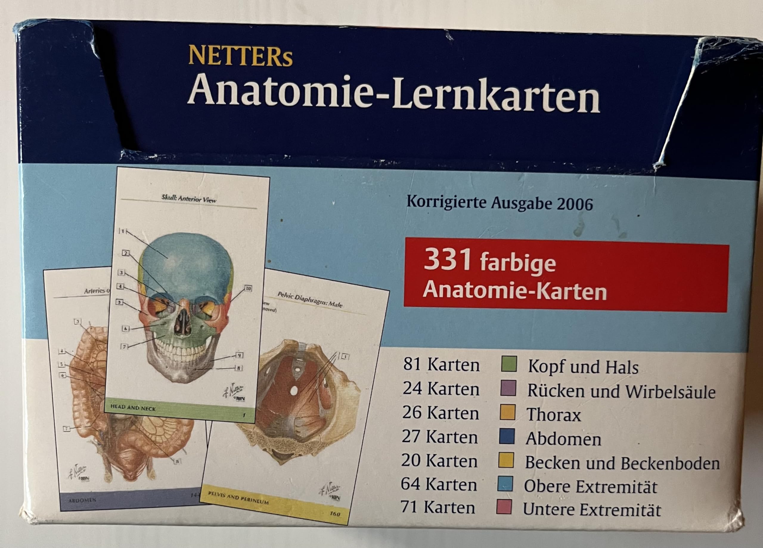Netters Anatomie-Lernkarten (Korr. Ausgabe): Das Lern-Tool für Prüfung und Präp-Kurs