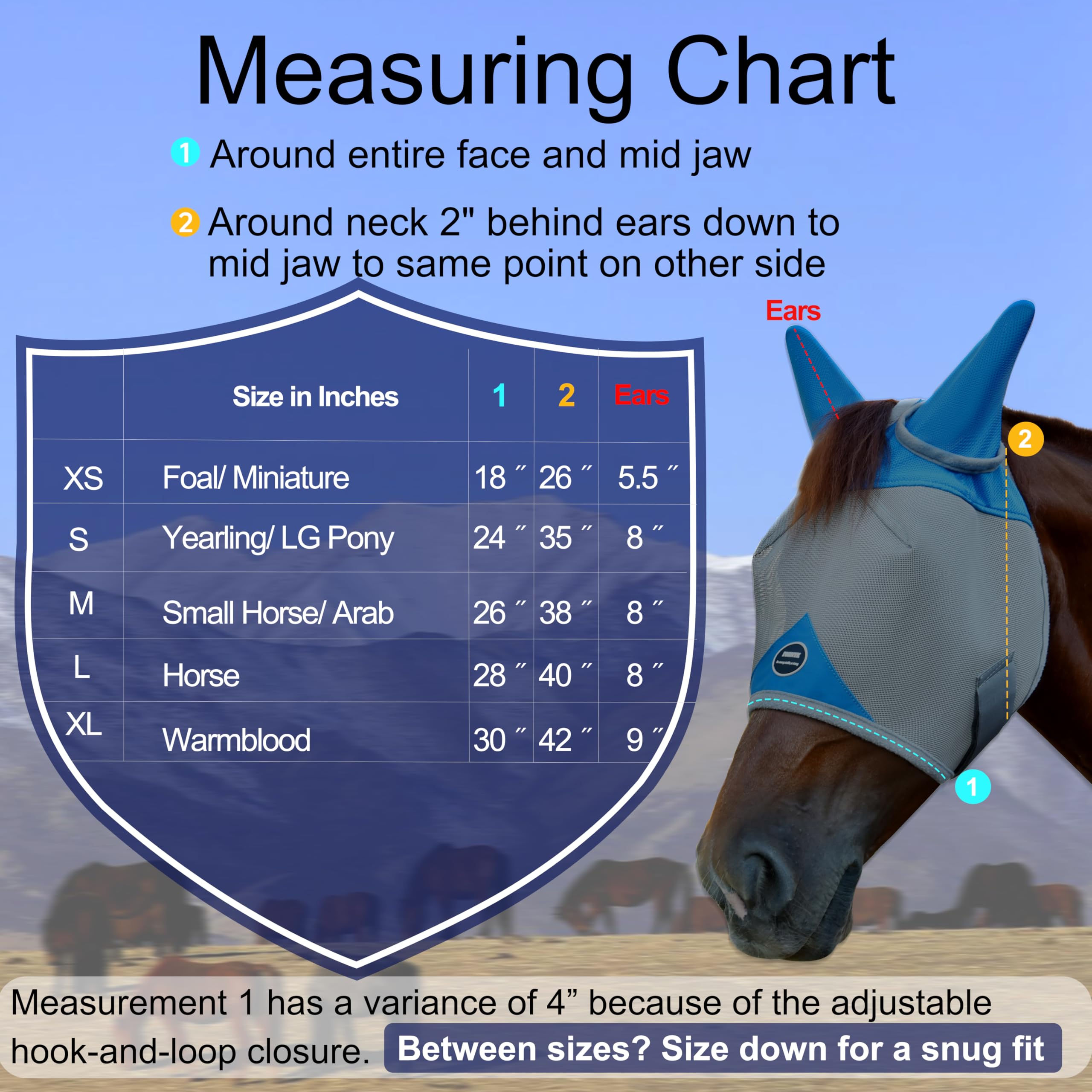 Fornyk Horse Fly Mask, Adjustable Fly Masks for Horses with Ears, Breathable and 70% UV Protection, Comfort Mesh Without Nose Cover, Horses Accessories (Grey, Blue, Large) - image 6