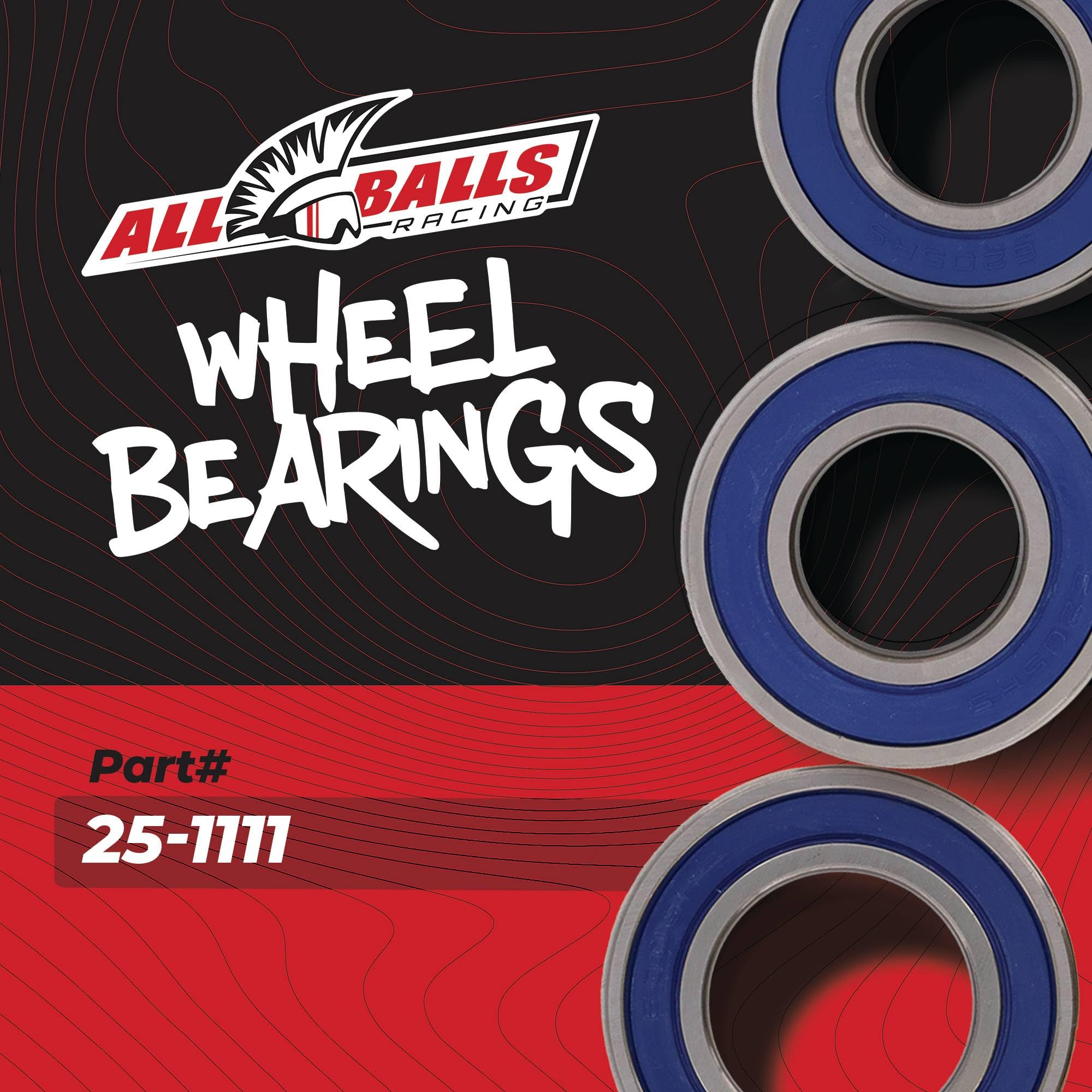 Amazon.com: All Balls Racing 25-1111 Wheel Bearing Seal Kit