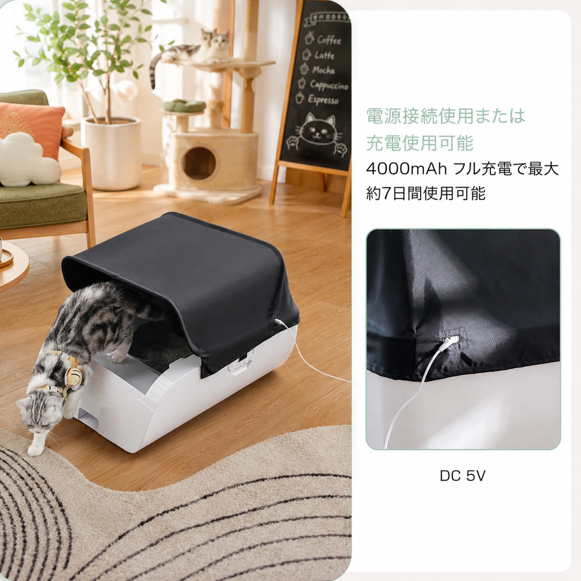 Amazon | Pandaloli 猫 自動トイレ 猫トイレ 猫 トイレ 自動 猫トイレ